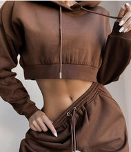 Load image into Gallery viewer, Tracksuit : Two Piece Velvet Set - Hooded Cropped Sweatshirt and Sweatpants - Glam Time Style
